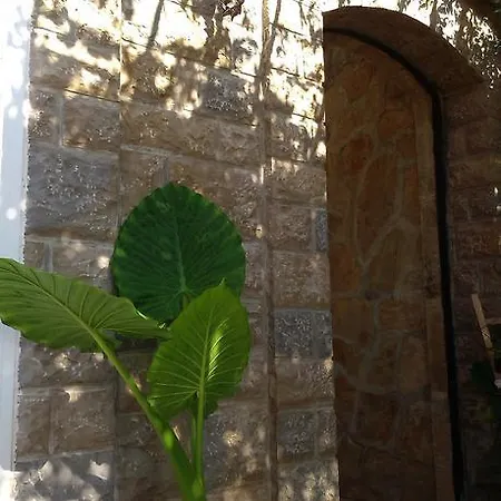 Ljubisa 3* Budva