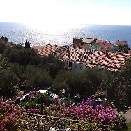 Ljubisa 3* Budva
